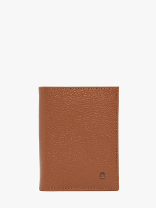 1000007820426 camel