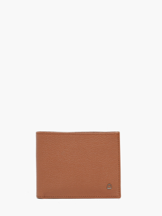 1000006401602 camel