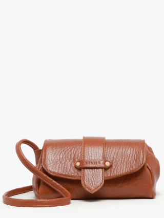1000007929884 camel
