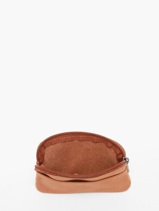 1000007286055 camel
