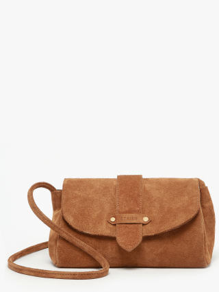 1000007929914 camel