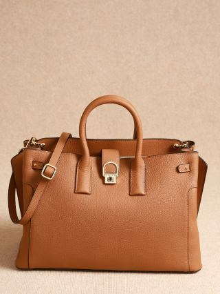 1000007765505 camel