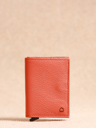 1000008028746 orange